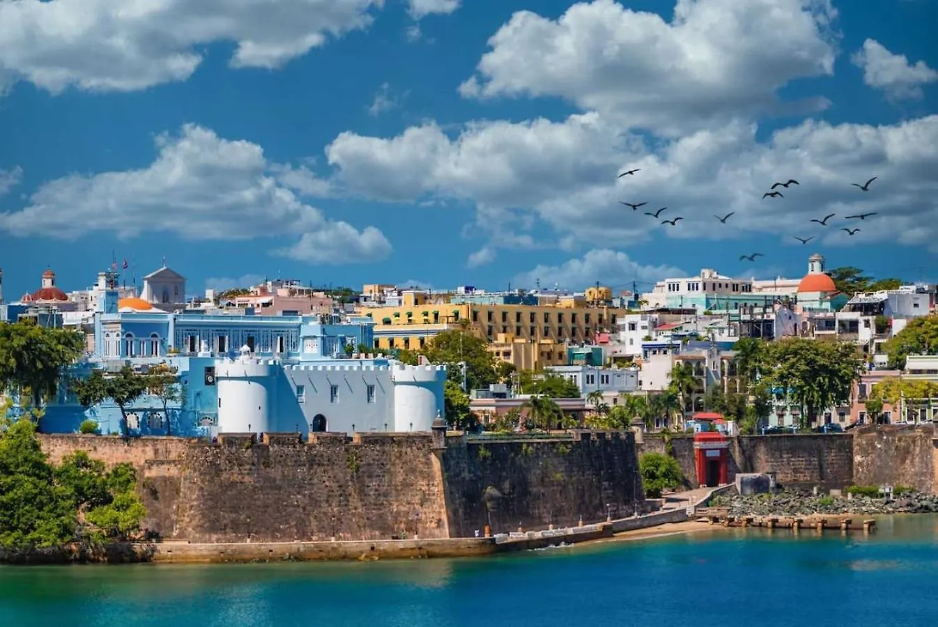 Apartment Cozy Pvt Room In The Heart Of Pr In Shared Home San Juan Puerto Rico